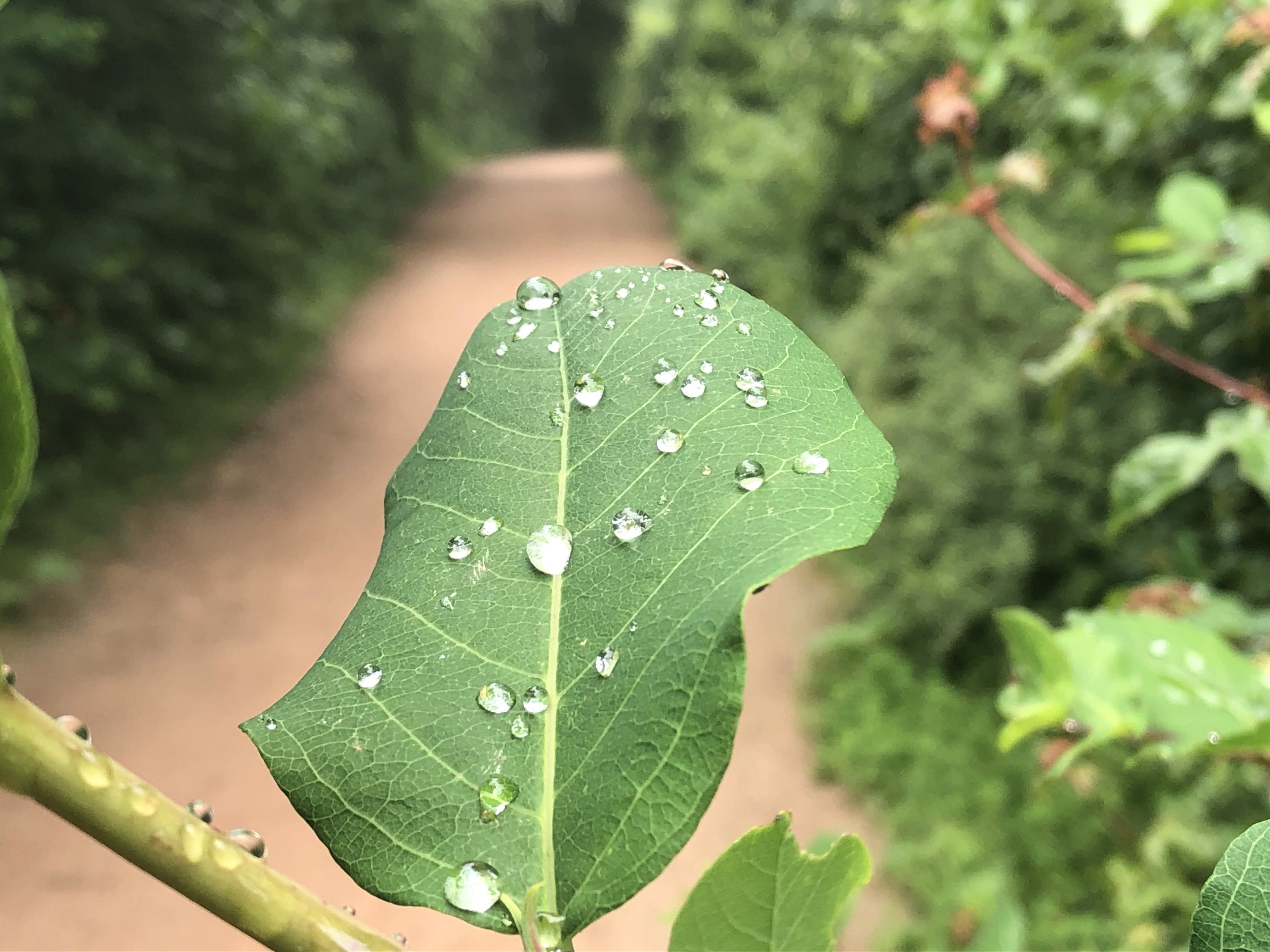 Photo n° 2 de l'avis de Hicham.a fait le 19/05/2019 à 11:18