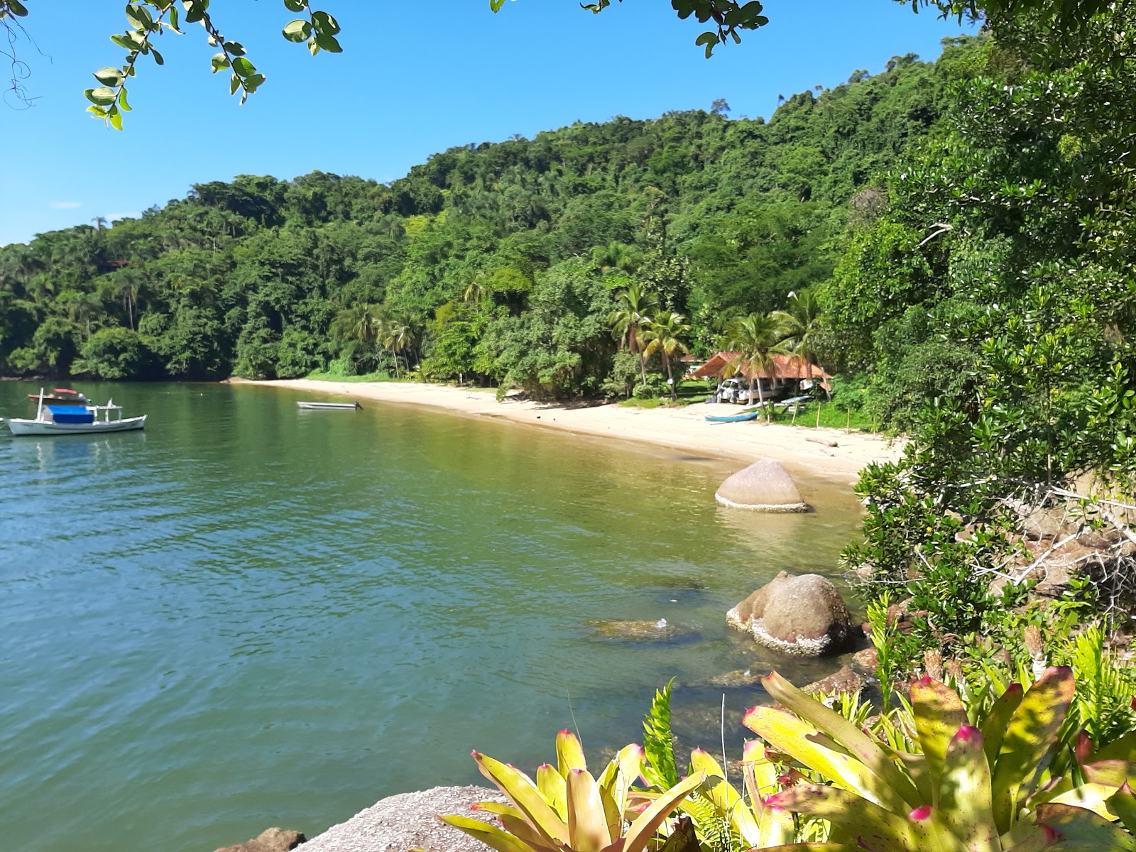 Fotografija Rožna plaža z turkizna čista voda površino