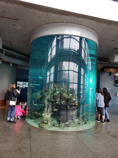 Parking Garage «SC Aquarium Garage», reviews and photos, 24 Calhoun St, Charleston, SC 29401, USA