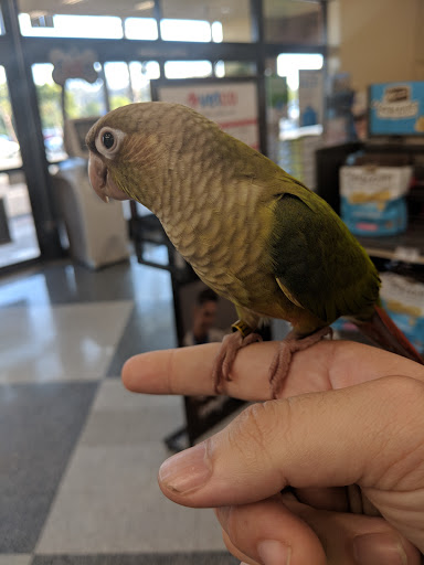 Petco image