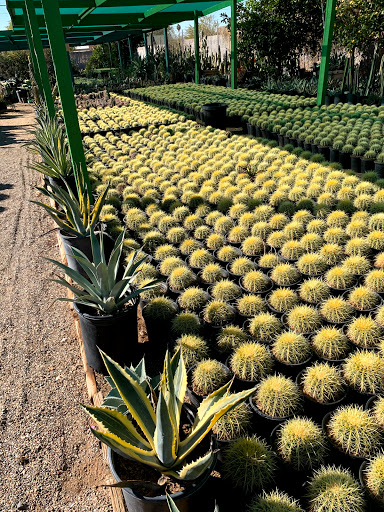 Gas Station «Circle K», reviews and photos, 12707 W Grand Ave, Surprise, AZ 85374, USA