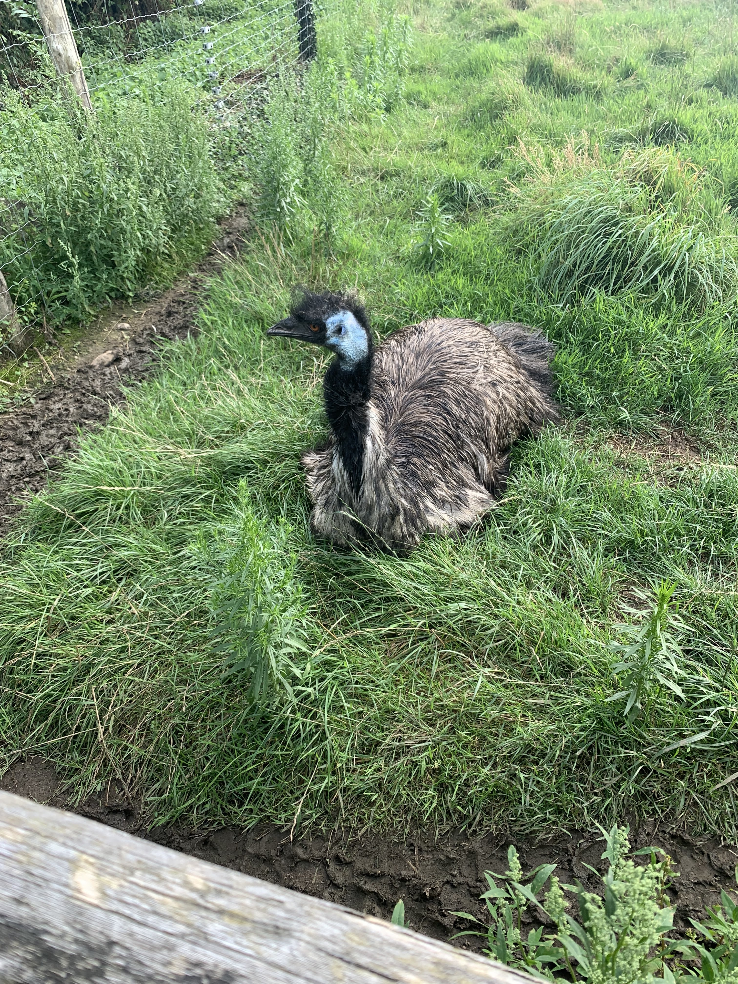 Photo n° 3 de l'avis de Elodie.e fait le 07/08/2021 à 22:48