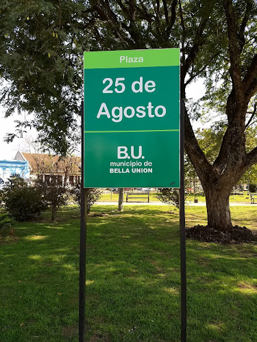 ANDA Sucursal Bella Unión - Asociación