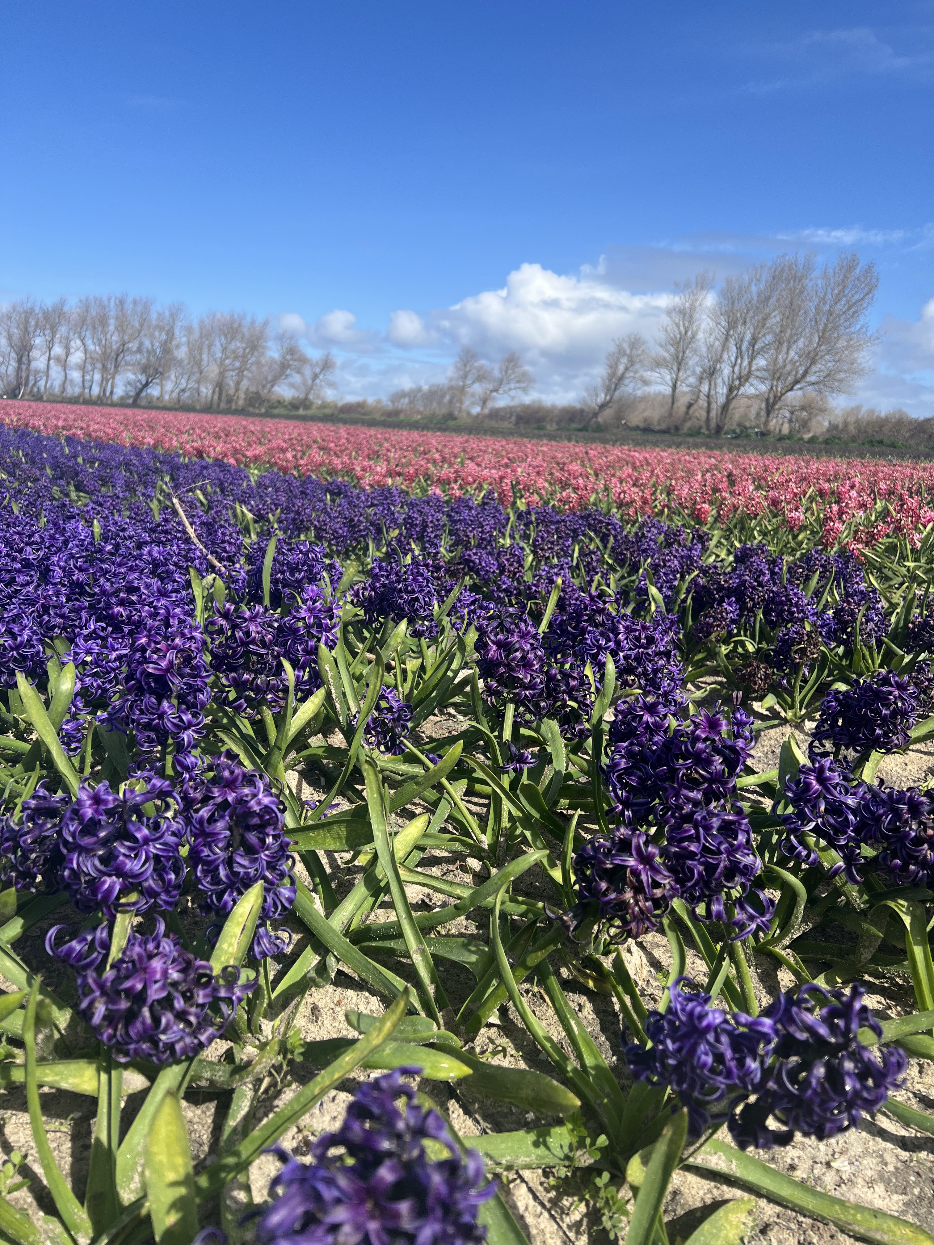 Photo n° 5 de l'avis de Camille. fait le 24/03/2024 à 18:29