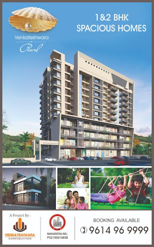 Google Maps image 13