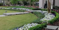 Ponseti Landscaping - Car repair in , New Orleans - Rated 4.3/5