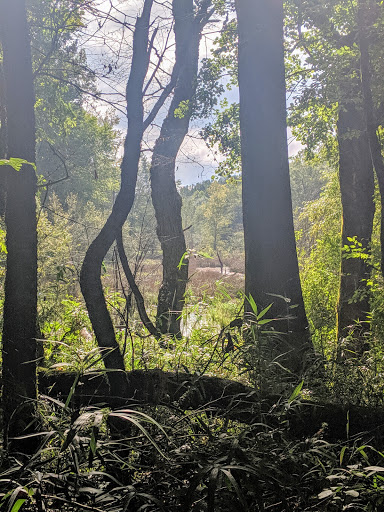 State Park «Chattahoochee Bend State Park», reviews and photos, 425 Bobwhite Way, Newnan, GA 30263, USA