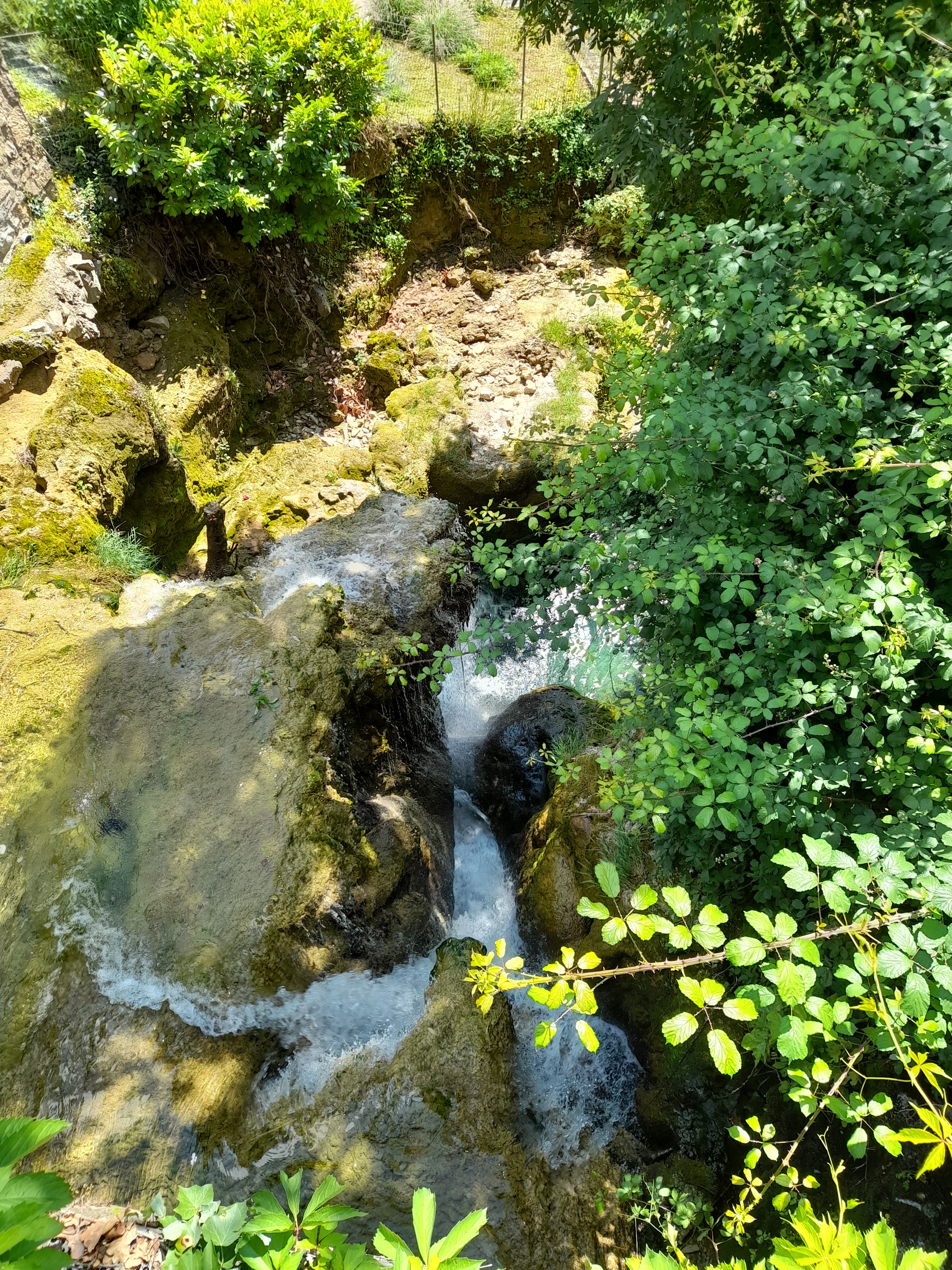Photo n° 8 de l'avis de Muriel.o fait le 25/06/2021 à 16:11