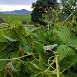 Photo n°2 de l'avis de Jenni. fait le 05/06/2019 à 08:36 sur le  Familienhotel Rhön Feeling à Dermbach