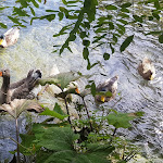 Photo n°1 de l'avis de Francesco. fait le 13/10/2019 à 14:40 sur le  Assunta à Tempera