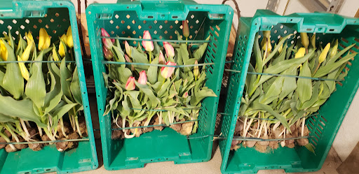 Farm «Four Town Farm», reviews and photos, 90 George St, Seekonk, MA 02771, USA