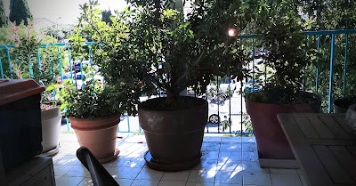 ORL à Grasse