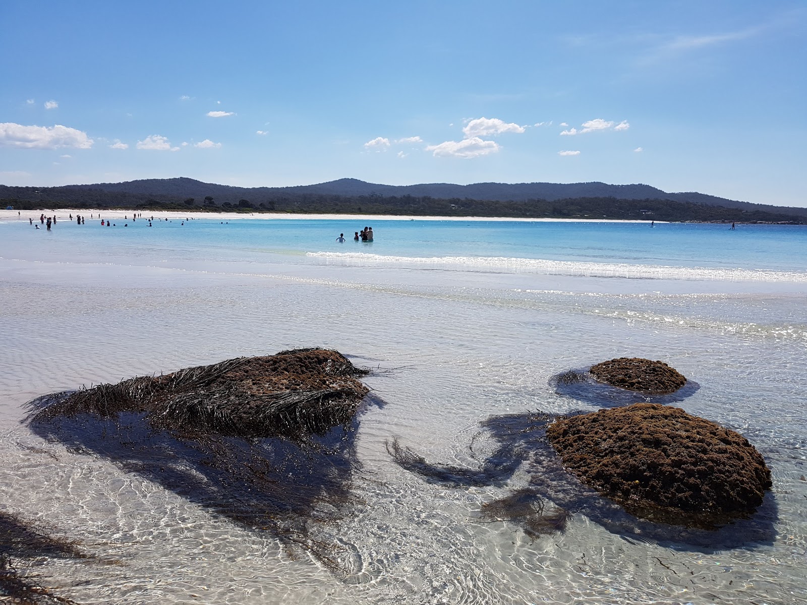 Binalong Bay photo #9