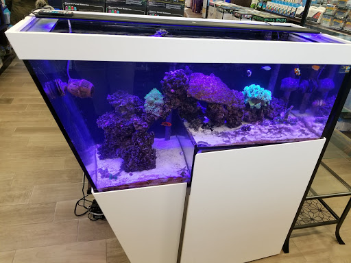 Tropical Fish Store «Aquatic Wildlife Co», reviews and photos, 70 Buckland Rd, South Windsor, CT 06074, USA