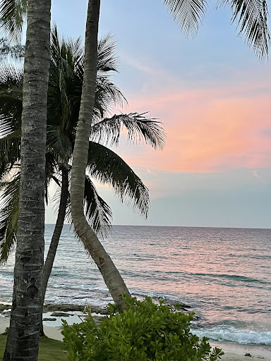 Travel Agency «First Discount Travel», reviews and photos, 4828 Cooper Rd, Cincinnati, OH 45242, USA