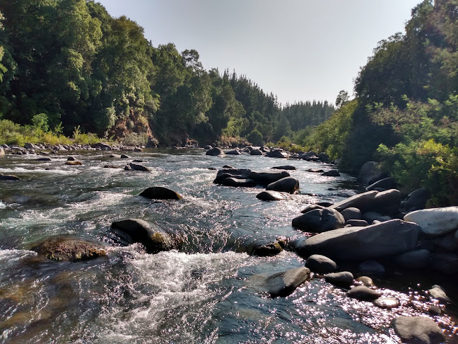San Vicente Bajo, 3900000 El Carmen, Biobío