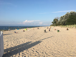 Plaza Wschodnia'in fotoğrafı ve yerleşim