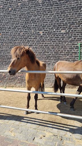 Equine Clinic Duisburg GmbH unter Duisburg, 