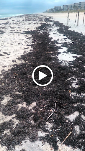 Golf Course «Lake Worth Golf Course», reviews and photos, 1 7th Ave N #1, Lake Worth, FL 33460, USA