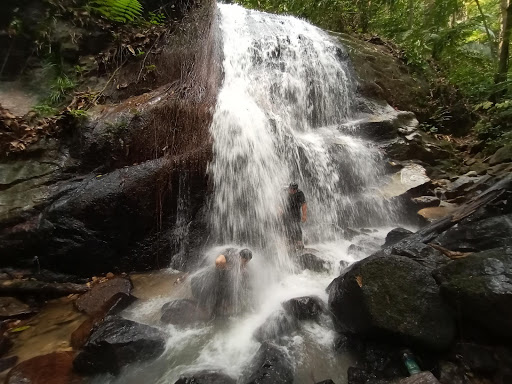 Commonwealth Forest Park Falls