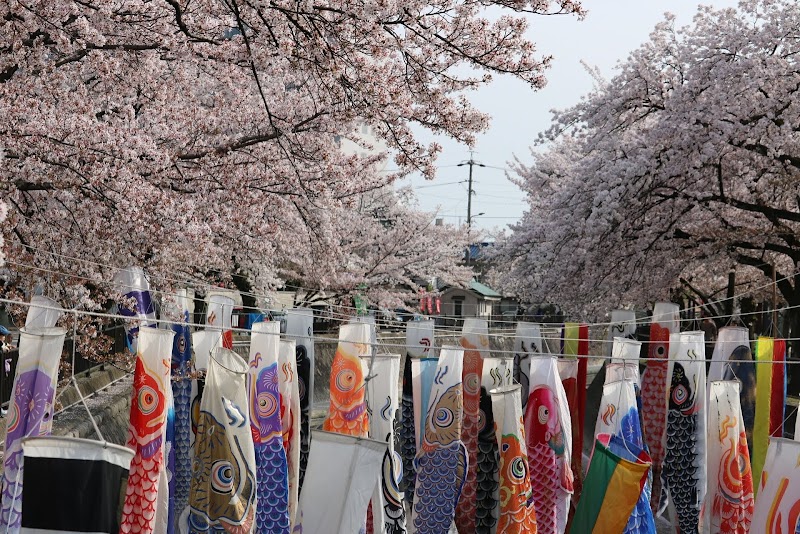 ゲームゾーン 一宮店 愛知県一宮市羽衣 ゲームセンター グルコミ