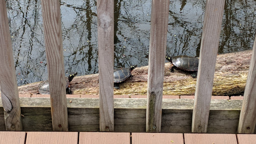 Nature Preserve «Fountain Rock Park & Nature Center», reviews and photos, 8511 Nature Center Place, Walkersville, MD 21793, USA