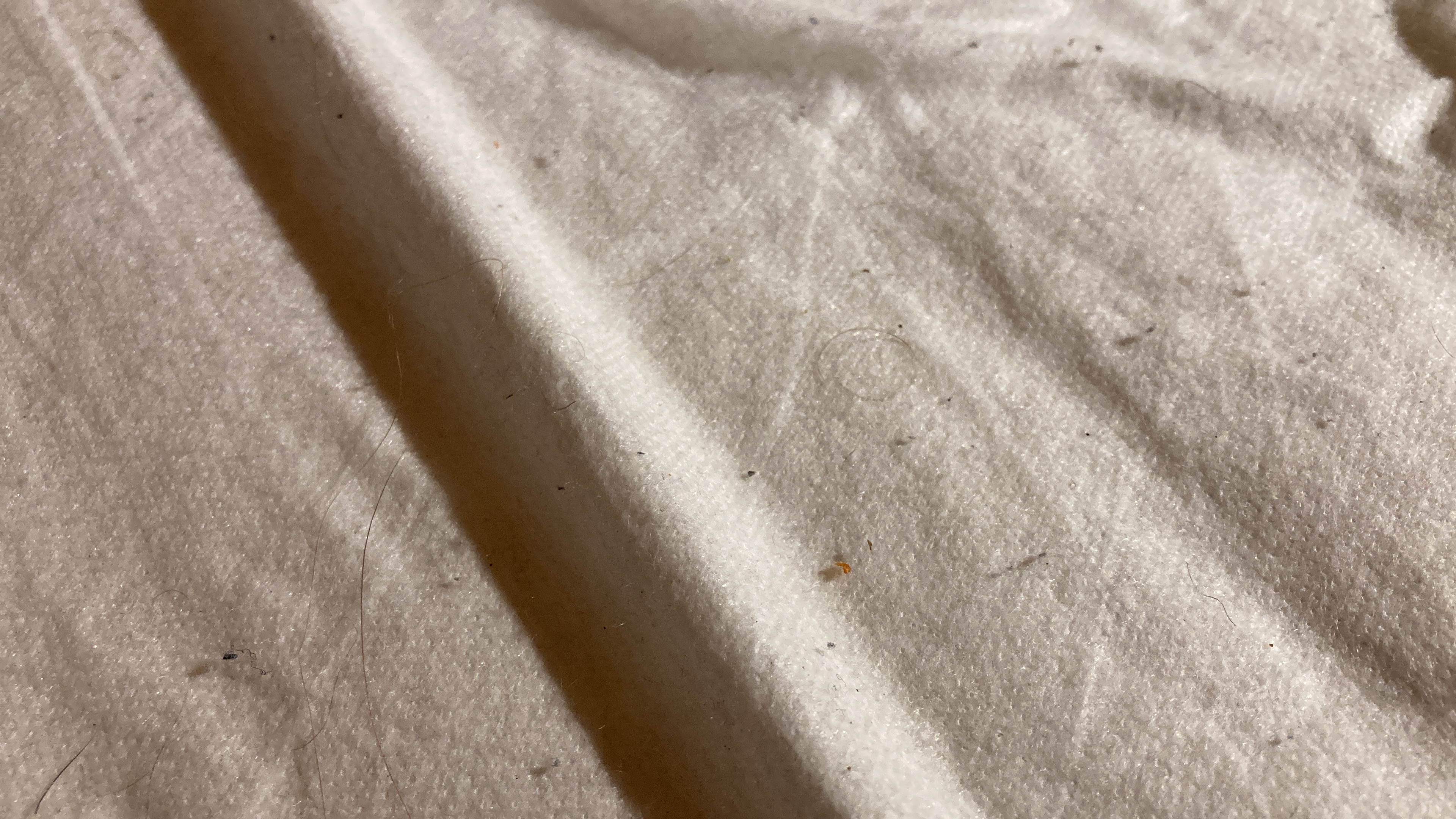 Photo n° 4 de l'avis de Olivier. fait le 15/12/2022 à 21:54