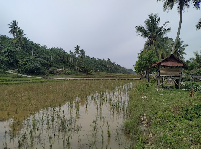 DESA WISATA PANTAI BATU PUTIH