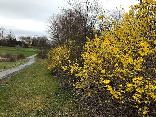 Golf Course «Beekman Golf Course & Restaurant», reviews and photos, 11 Country Club Rd, Hopewell Junction, NY 12533, USA