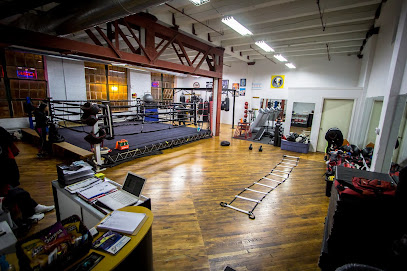 Rick Ramos Boxing Gym - Basement, 600 W Cermak Rd, Chicago, IL 60616