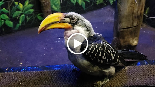 Zoo «Lake Superior Zoo», reviews and photos, 7210 Fremont St, Duluth, MN 55807, USA