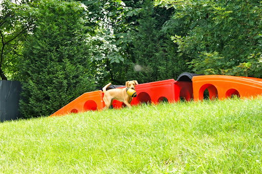 Pet Boarding Service «About Pets Center», reviews and photos, 1604 Conehurst Blvd, Salem, VA 24153, USA