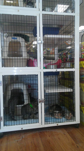 Shopping Mall «South Pasadena Shopping Center», reviews and photos, 6850 Gulfport Blvd S, South Pasadena, FL 33707, USA