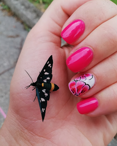 Recenzije Lara Nails u Rijeka - Kozmetički salon