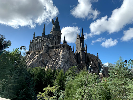 Roller Coaster «Dragon Challenge», reviews and photos, 6000 Universal Blvd, Orlando, FL 32819, USA