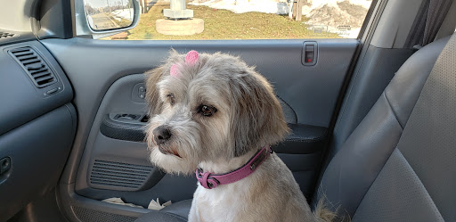 Pet Supply Store «Petco Animal Supplies», reviews and photos, 12765 Harper Village Dr #140, Battle Creek, MI 49014, USA