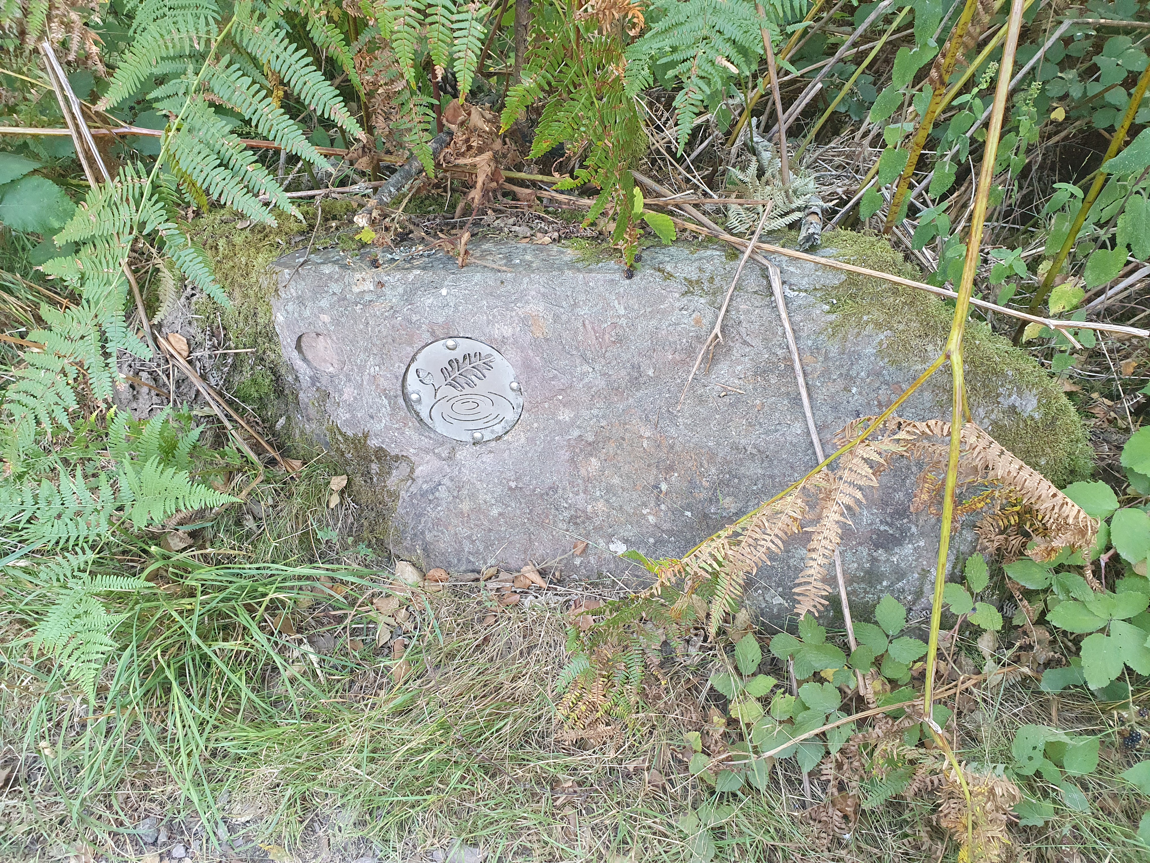 Photo n° 2 de l'avis de mickael.e fait le 14/08/2020 à 18:07