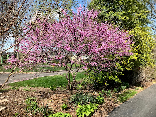 Glorious Gardens