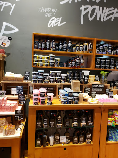 Book Store «Books-A-Million», reviews and photos, 839 Brandon Town Center Dr, Brandon, FL 33511, USA