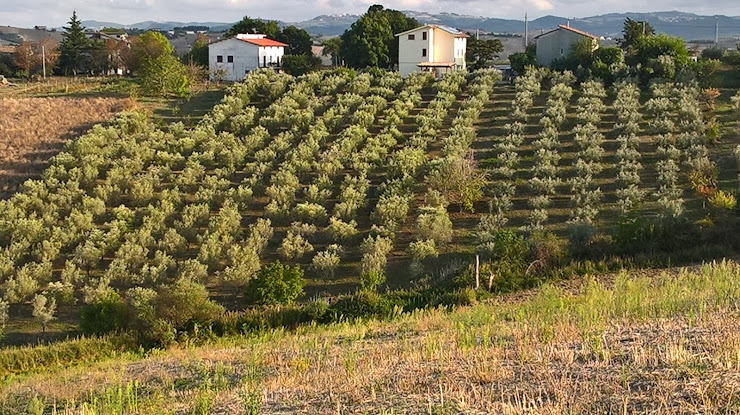 Extérieur Bed & Breakfast Jake's Place B&B 66041 Pili