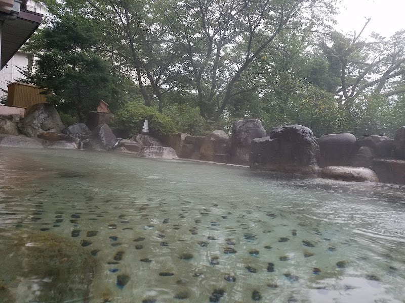 下呂温泉 望川館 げろおんせん ぼうせんかん 岐阜県下呂市湯之島 旅館 グルコミ