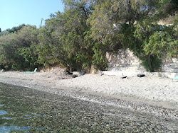 Artaki beach'in fotoğrafı - rahatlamayı sevenler arasında popüler bir yer