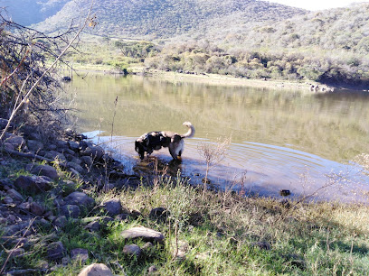 Lagunita escondida