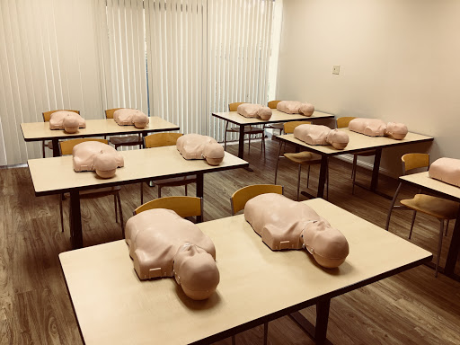 Action CPR Training