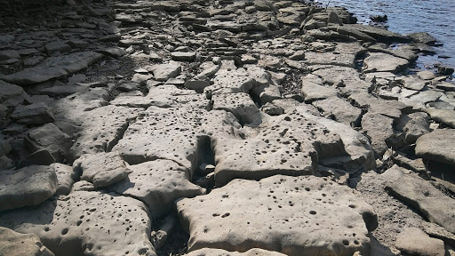 State Park «Long Hunter State Park», reviews and photos, 2910 Hobson Pike, Hermitage, TN 37076, USA