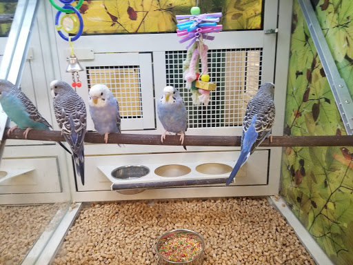 Pet Supply Store «PetSmart», reviews and photos, 350 Walt Whitman Rd, Huntington Station, NY 11746, USA