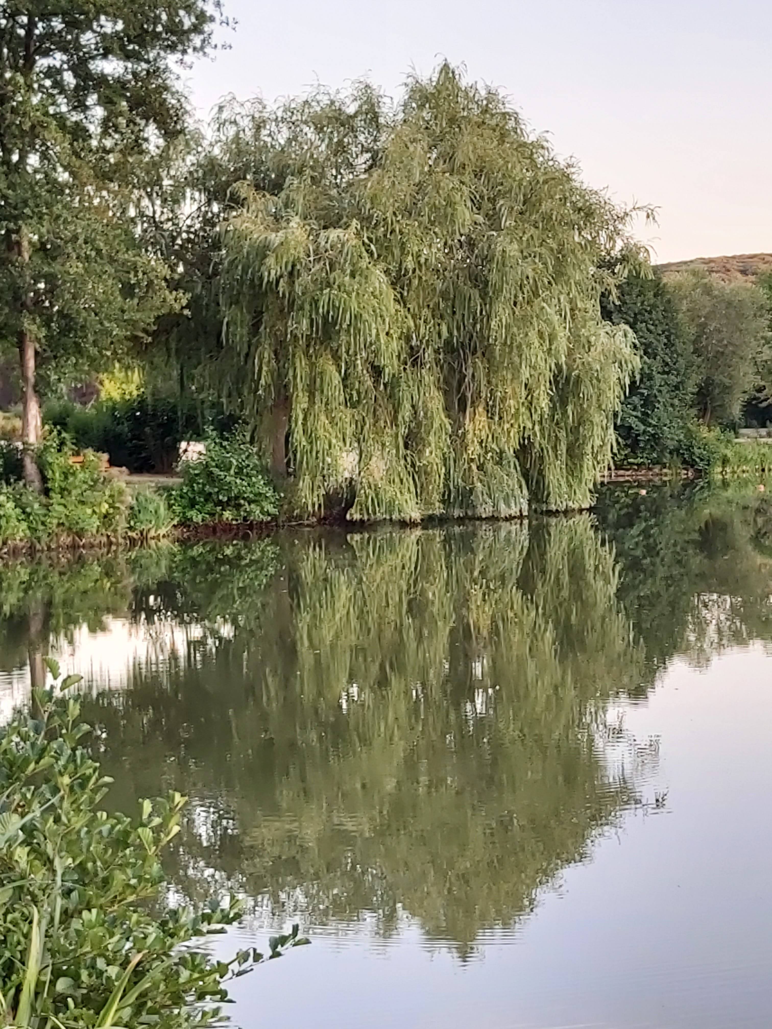 Photo n° 1 de l'avis de Eve.a fait le 06/10/2019 à 07:58
