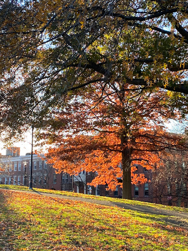 War Memorial «Bunker Hill Monument», reviews and photos, Monument Sq, Charlestown, MA 02129, USA