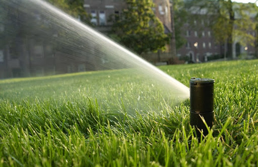 Sprinkler Solutions Irrigation