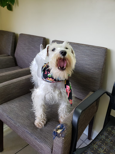 Barber Shop «Royal Barber Shop», reviews and photos, 2764 Langford Rd NW, Norcross, GA 30071, USA